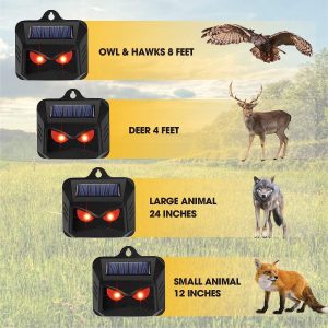 KEXMY 4 Packs Animal Repellent – Solar Powered Motion Lights